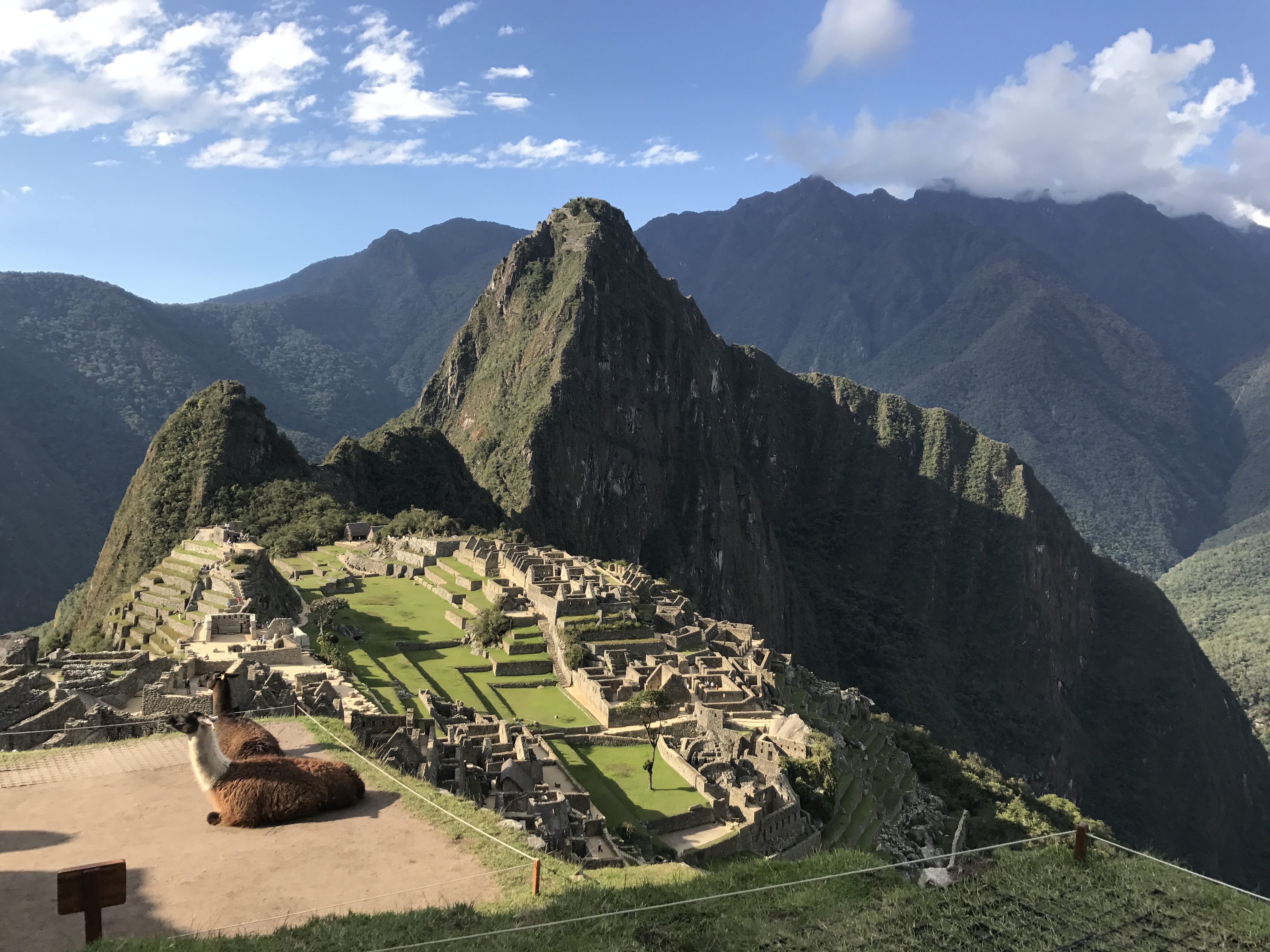 4_Hola-Machu-Picchu-Hí-llamas-soltas-no-topo-da-montanha-e1480005123225-1.jpg