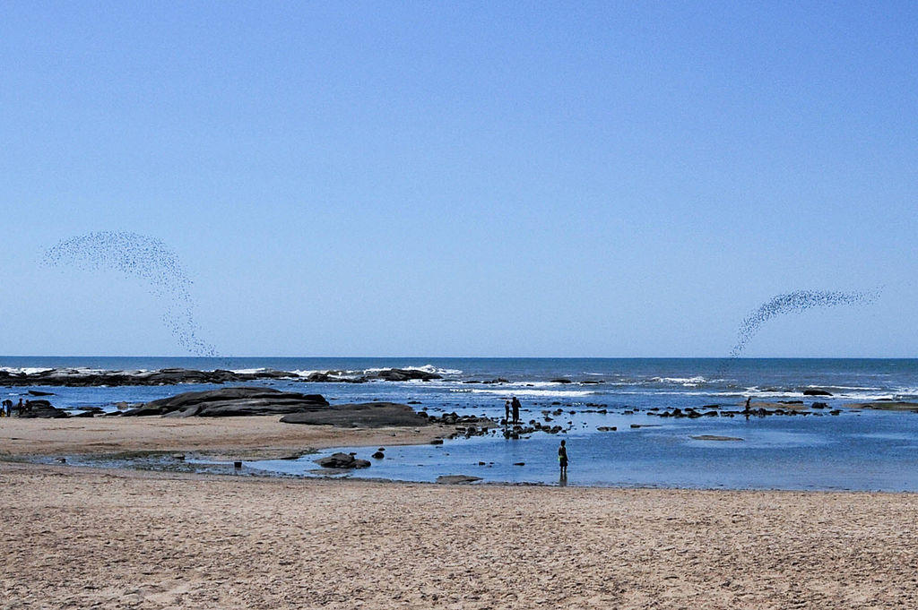 Praia em Punta del Este