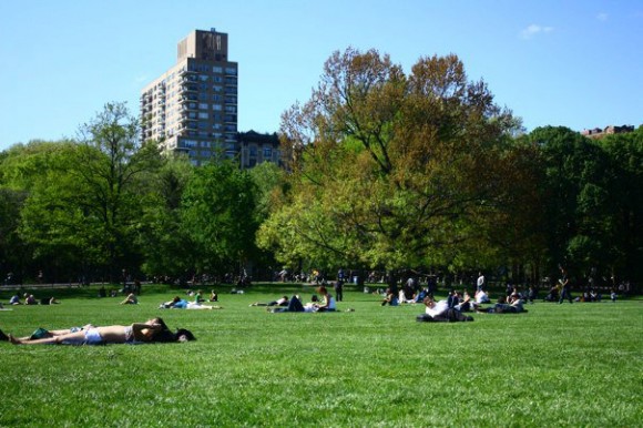 Central Park