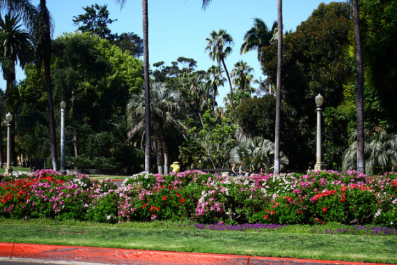 Canteiros de flores do Balboa Park, San Diego