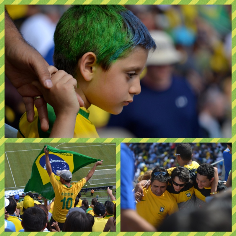 Como é assistir um jogo de futebol do Brasil nos EUA? - Blog do Intercâmbio  STB