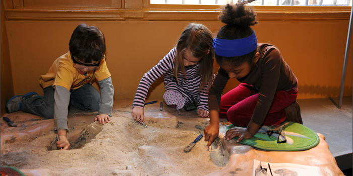 Crianças no Museu de História Natural