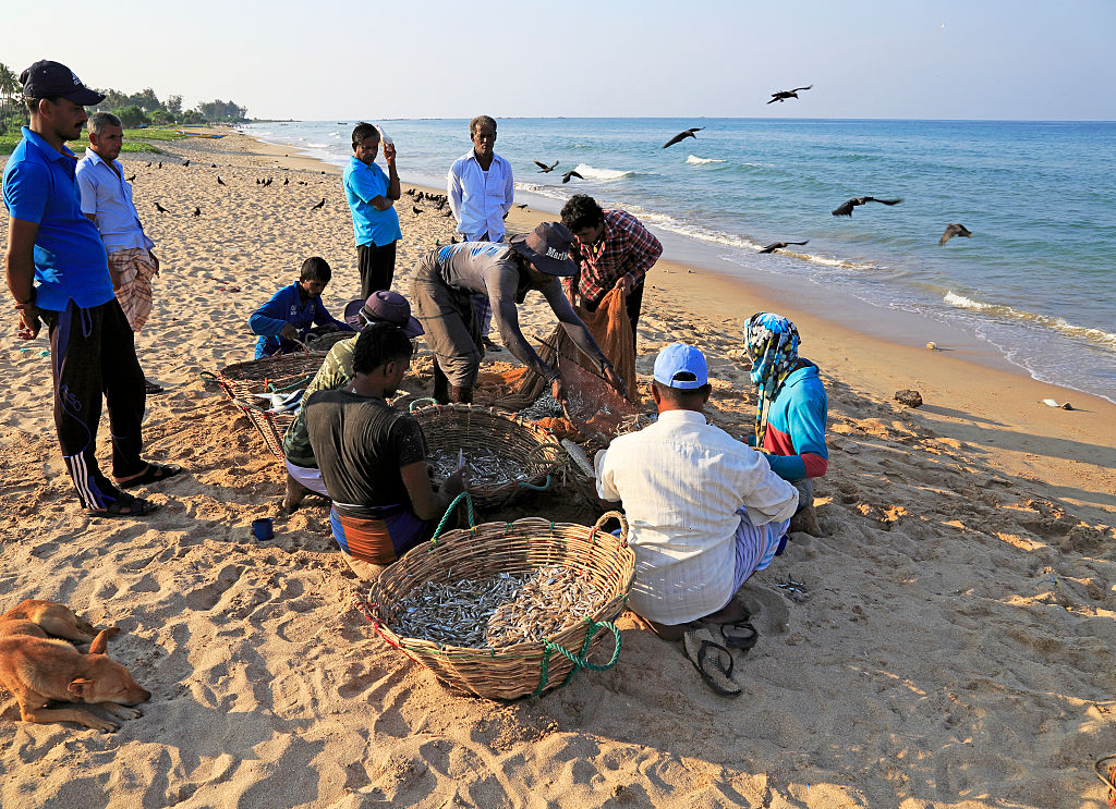 Pesca na praia no Sri Lanka