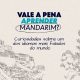Vale a pena aprender mandarim? Curiosidades sobre um dos idiomas mais falados do mundo