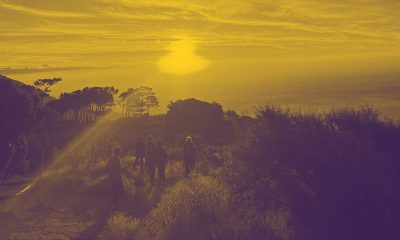 O que esperar de um intercâmbio em Cape Town?