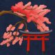 10 palavras em japonês que fazem parte do seu dia a dia